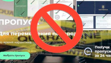 Владимир Соловьёв принял участие в обсуждении проблемы поддельных пропусков